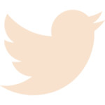 icon pink twitter