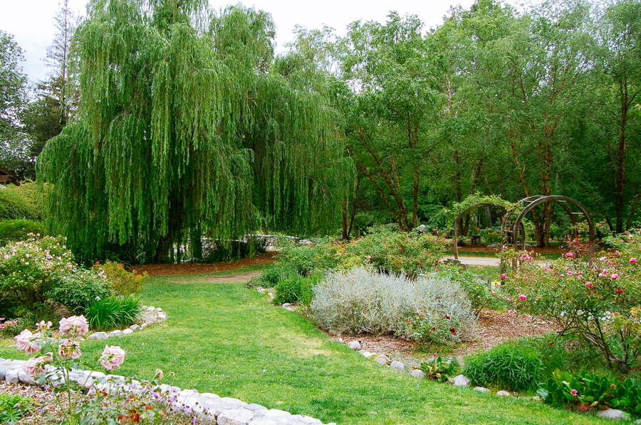 Descanso Gardens - French Californian