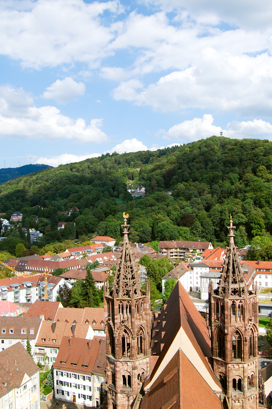 View from Freiburg church