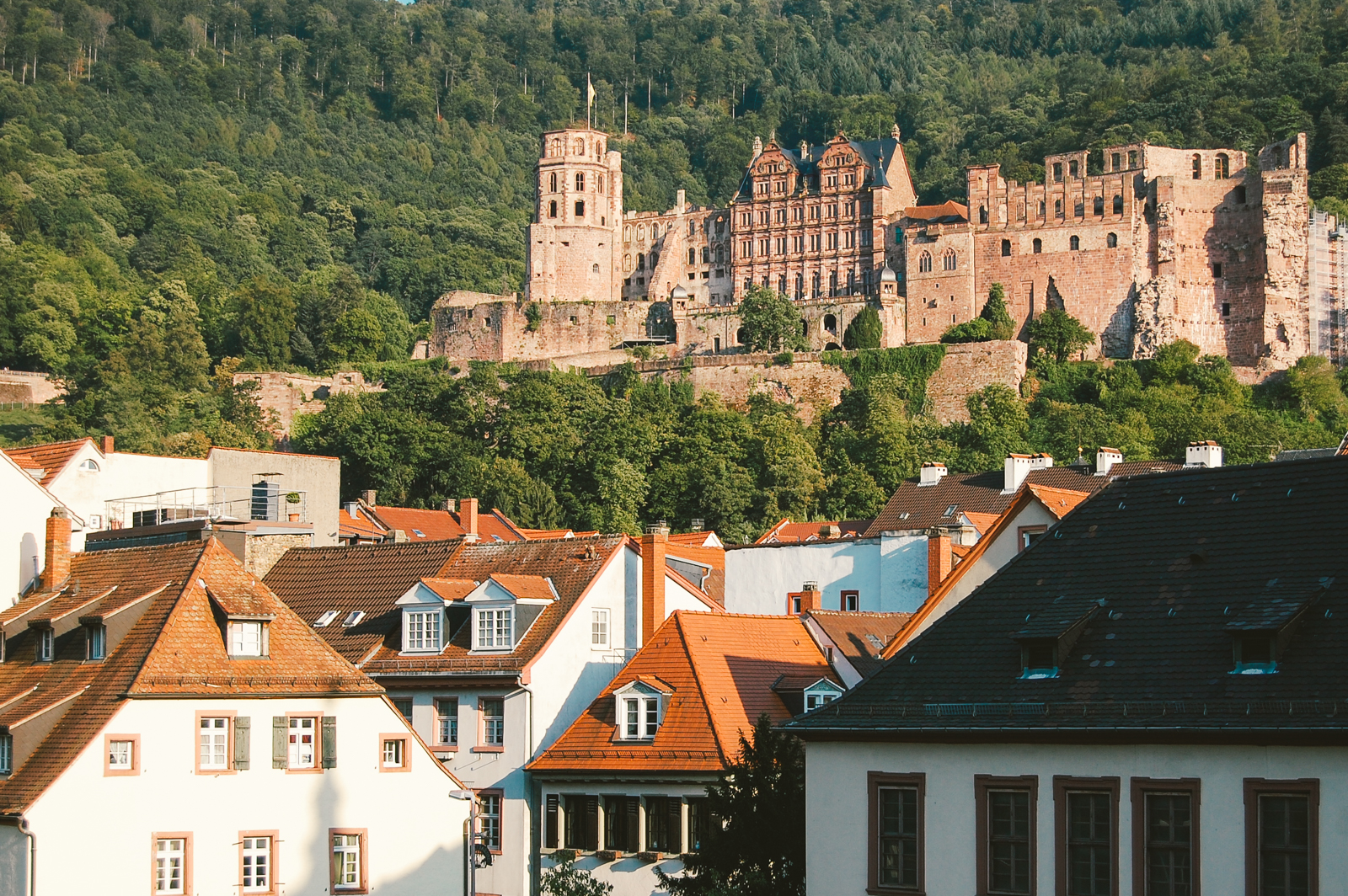 Image result for Exploring Heidelberg