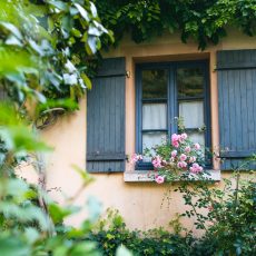 Following in the Footsteps of Van Gogh in Auvers-sur-Oise - French Californian