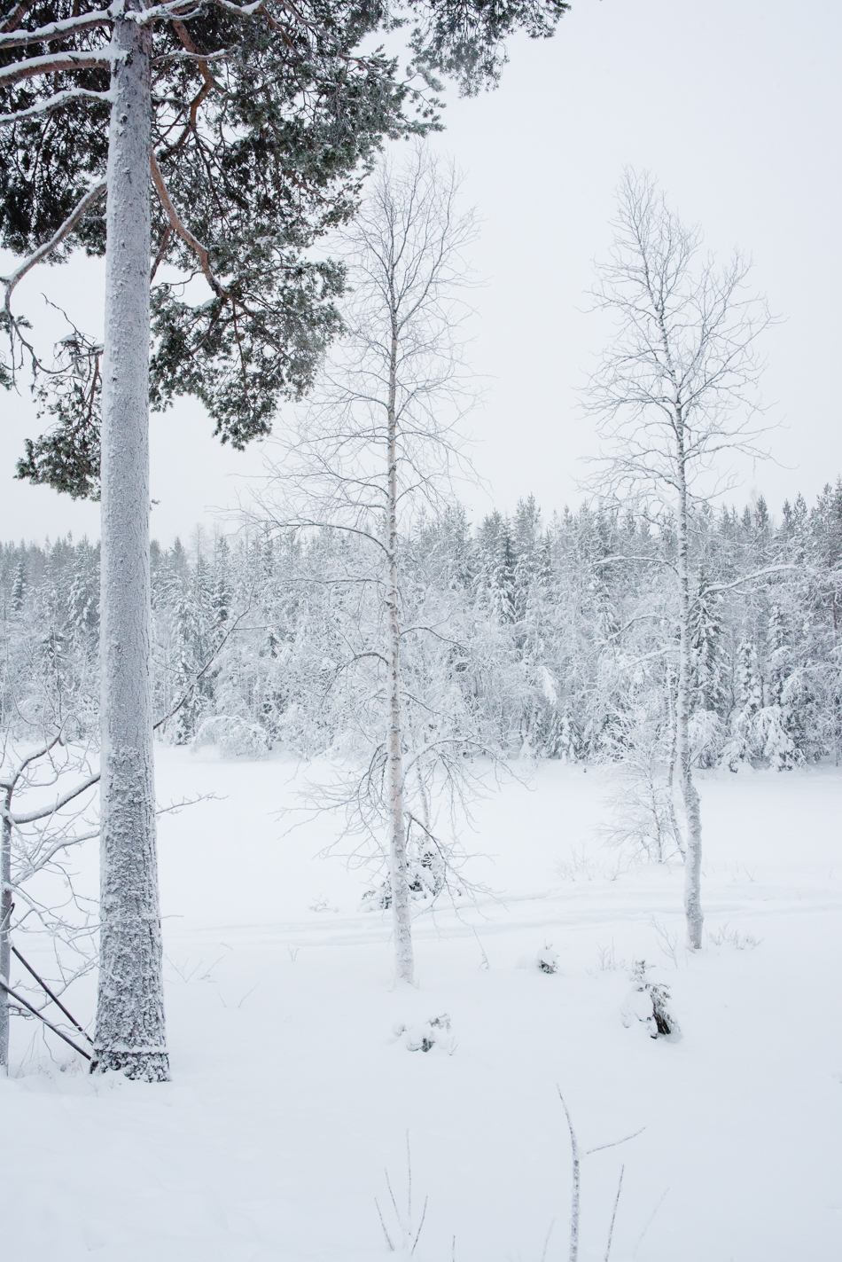 sweden-snow-blog-hannah-wilson-14